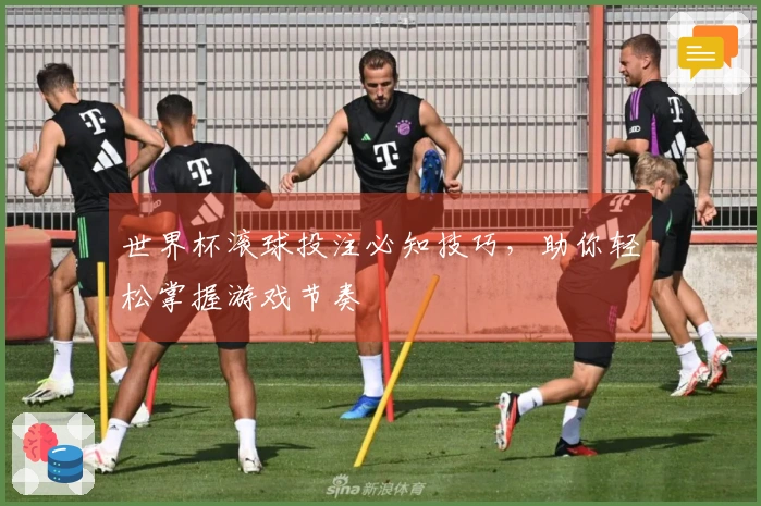 世界杯滚球投注必知技巧，助你轻松掌握游戏节奏