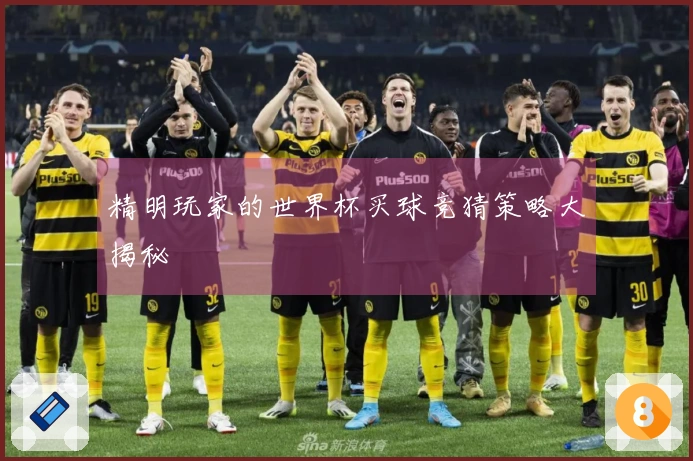 精明玩家的世界杯买球竞猜策略大揭秘