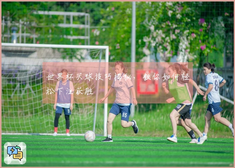 世界杯买球技巧揭秘，教你如何轻松下注获胜