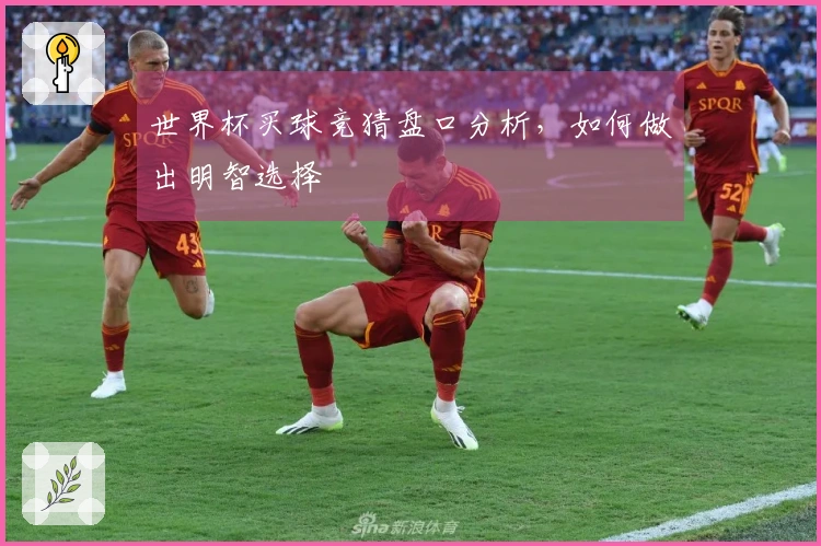 世界杯买球竞猜盘口分析，如何做出明智选择