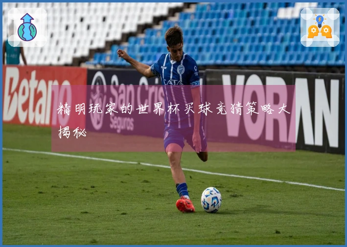 精明玩家的世界杯买球竞猜策略大揭秘