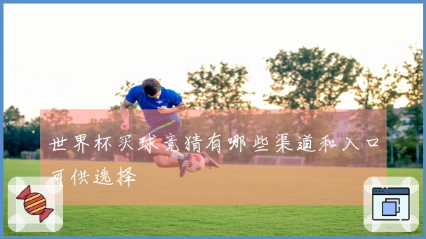 世界杯买球竞猜有哪些渠道和入口可供选择