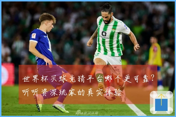 世界杯买球竞猜平台哪个更可靠？听听资深玩家的真实体验
