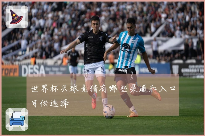 世界杯买球竞猜有哪些渠道和入口可供选择