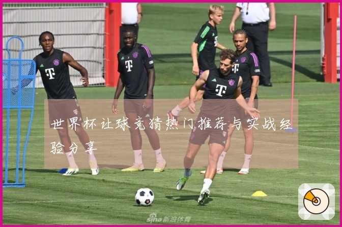 世界杯让球竞猜热门推荐与实战经验分享