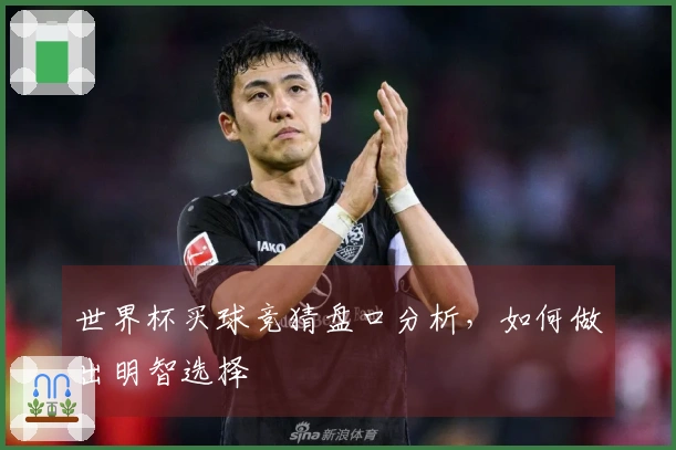 世界杯买球竞猜盘口分析，如何做出明智选择